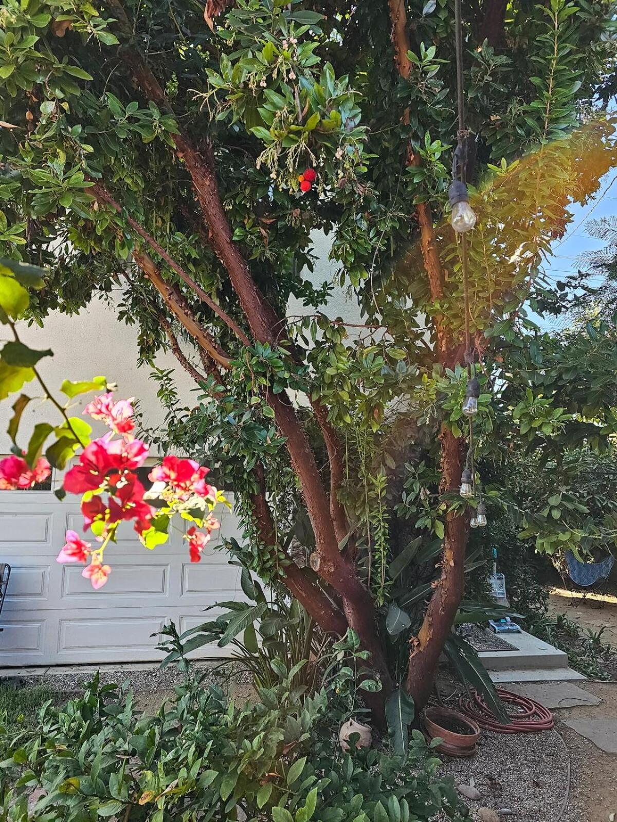 Apartamento Peaceful Upstairs Oasis Los Angeles